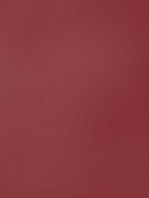 Stoff Vertikal Ma&szlig;anfertigung Lamelle V0008