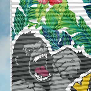 Plissee Duette&reg; DUETTE Fix� Elan Marvelous Monkey P30817