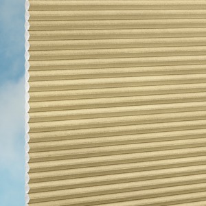 Plissee Duette&reg; DUETTE Fix� Elan Metallic Duotone P30828