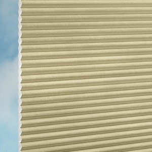 Plissee Duette&reg; DUETTE Fix� Elan Metallic Duotone P30829