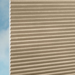 Plissee Duette&reg; DUETTE Fix� Elan Metallic Duotone P30830