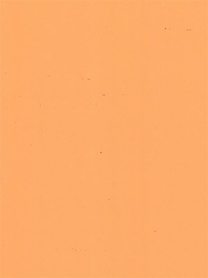 Stoff Rollo Ma&szlig;anfertigung 173363