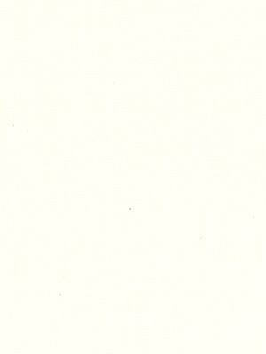 Stoff Rollo Ma&szlig;anfertigung R1432