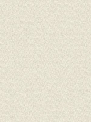 Stoff Rollo Ma&szlig;anfertigung Euro Blackout R 2411