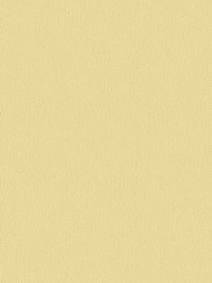 Stoff Rollo Ma&szlig;anfertigung Euro Blackout R 2413