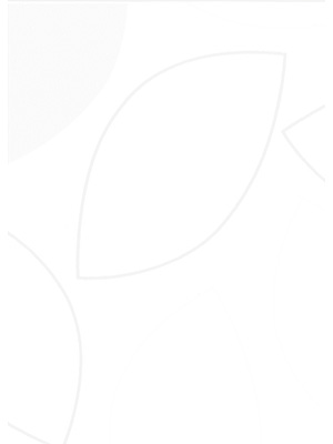 Stoff Rollo Ma&szlig;anfertigung R2642