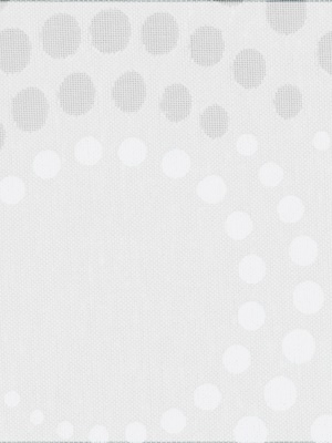 Stoff Rollo Ma&szlig;anfertigung Ausbrenner/Black & White R 4320