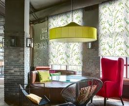 Rollos von B�scher