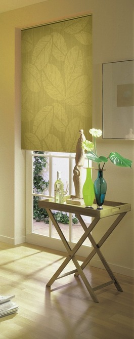 Rollos von B�scher