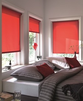 Rollos von B�scher