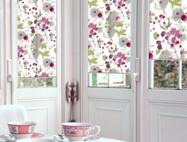 Rollos von B�scher