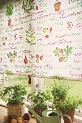 Rollos von B�scher